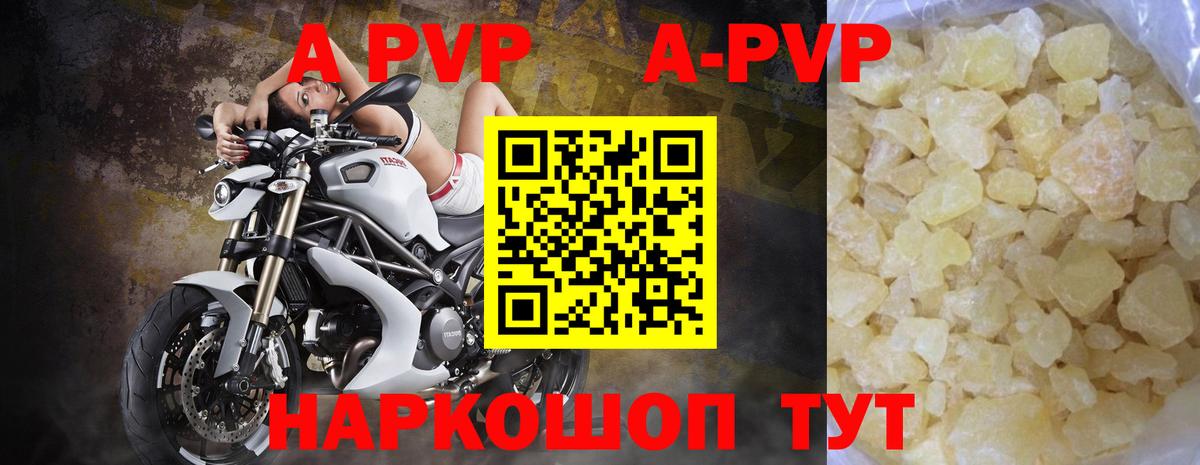 A PVP СК КРИС Архангельск