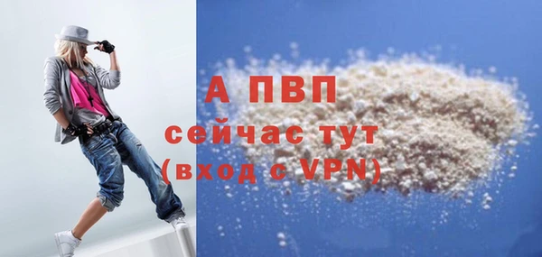 дурь Новодвинск