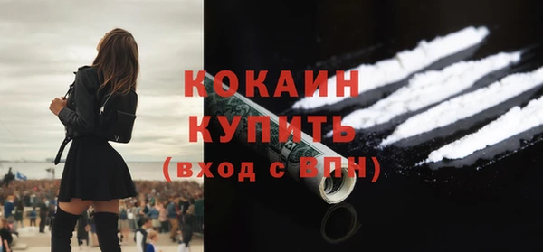 прущие крисы Новозыбков