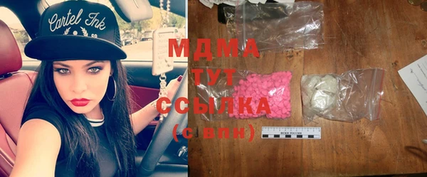индика Болхов