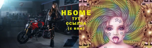 прущие крисы Новозыбков