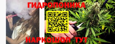 jwh Бийск